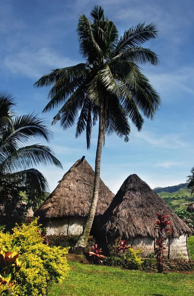 Maisons traditionnelles du village Navala, Viti Levu, Fidji — Photo