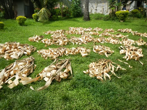 Séchage des feuilles de palmier dans le village de Navala, île de Viti Levu, Fidji — Photo