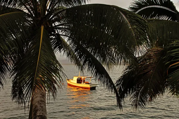 Silueta de palmeras y un barco al atardecer, puerto de Savusavu , — Foto de Stock