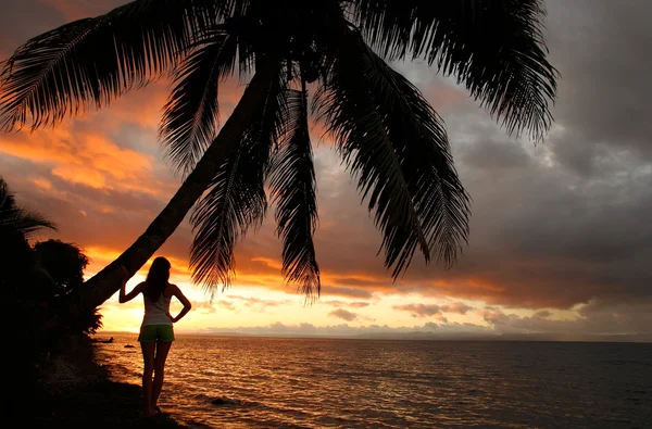 Silhouette jeune femme au bord du palmier sur une plage, Vanua Levu — Photo