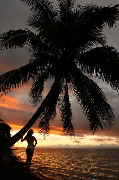 Mujer joven silueta junto a la palmera en una playa, Vanua Levu — Foto de Stock