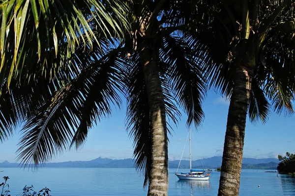 Savusavu haven, vanua levu island, fiji — Stockfoto