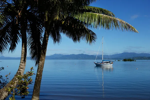 Savusavu harbor, Vanua Levu Island, Fiji