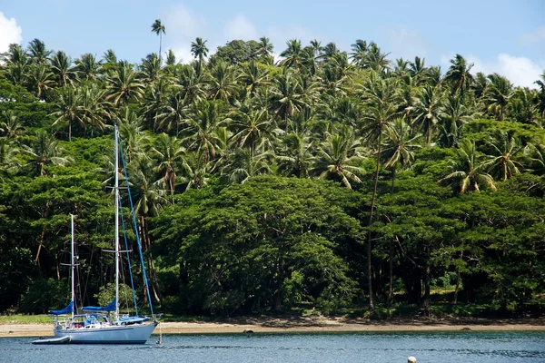 Segelboot im Hafen von Savusavu, Insel Vanua Levu, Fidschi — Stockfoto