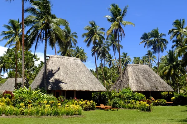 Bure traditionnelle avec toit de chaume, île de Vanua Levu, Fidji — Photo