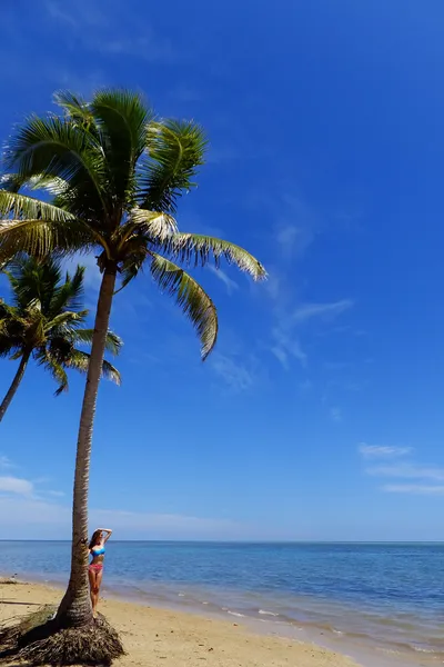 Palmboom op een strand, vanua levu island, fiji — Stockfoto