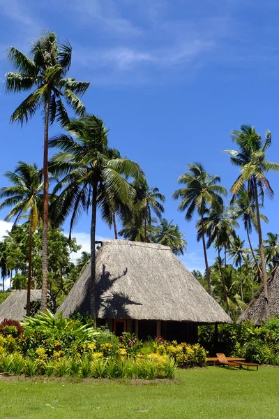 Traditionella bure med halmtak, vanua levu ö, fiji — Stockfoto