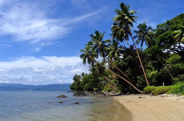 Palmiye ağaçlarının beach, vanua levu Island, fiji — Stok fotoğraf