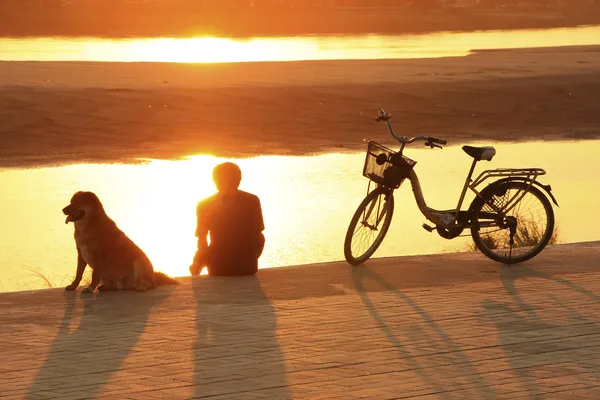 Uomo si staglia con un cane guardando il tramonto all'acqua del fiume mekong — Zdjęcie stockowe