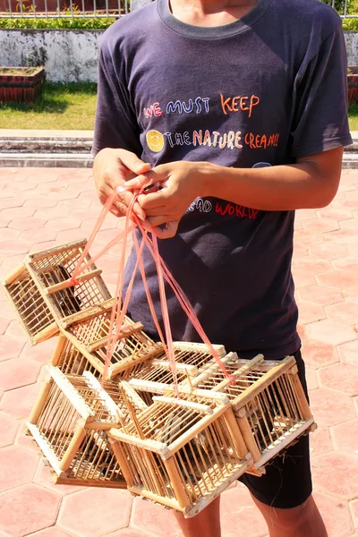 Tubylec sprzedaży ptaków w pobliżu pha że luang, vientiane, laos — Zdjęcie stockowe