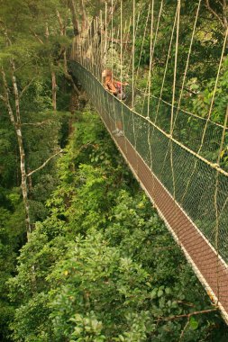 gölgelik geçit, taman negara Ulusal Parkı üzerinde duran turizm, 