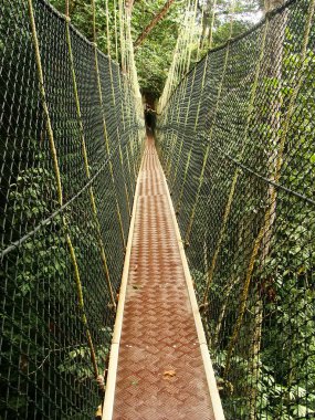 gölgelik geçit, taman negara Ulusal Parkı, Malezya