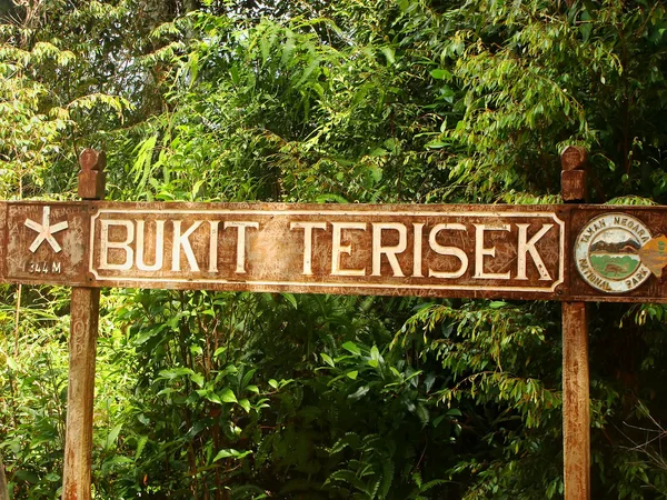 Bukit terisek tecken, nationalparken taman negara malaysia — Stockfoto