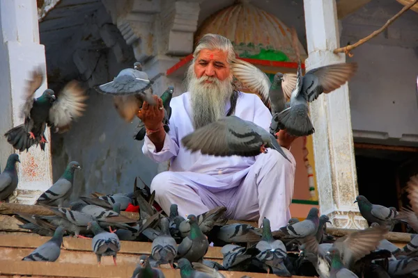 Uomo indiano che nutre piccioni vicino al lago sacro, Pushkar, India — Foto Stock