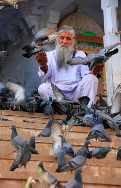 Uomo indiano alimentazione piccioni nei pressi del Lago Santo, pushkar, india — Zdjęcie stockowe