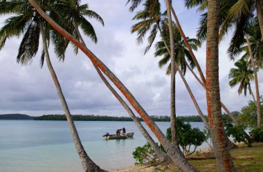 Yerel balıkçı teknesi, çıktık Adası, tonga