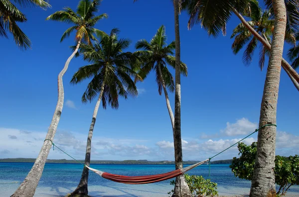 Barevná houpací síť mezi dlaní stromy, ofu island, vavau skupina, na — Stock fotografie