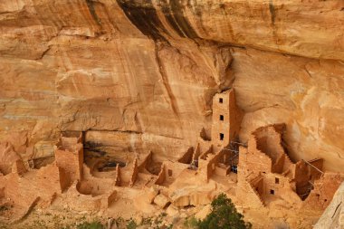 Evi kare kule mesa verde Milli Parkı, colorado
