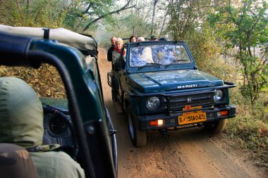 Kaplan safari, ranthambore Milli Parkı, Ind gelecek turist