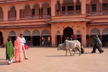 Yerel halkın dolaşan tren istasyonu, sawai madhopur, Hindistan