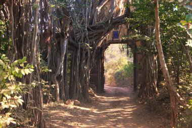 ranthambore Milli Parkı, Hindistan için giriş kapısı
