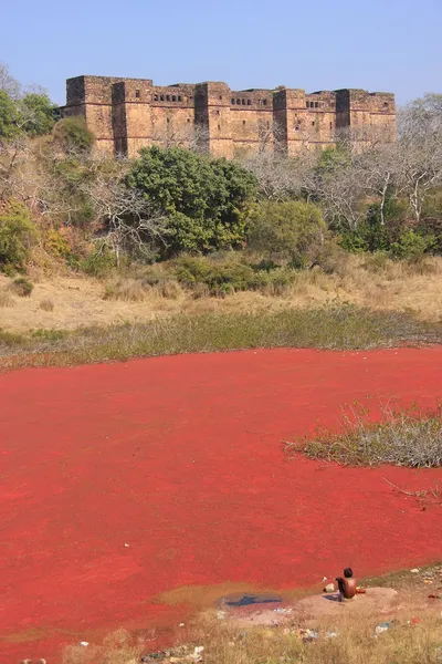 Ranthambore fort en red lake, india — Stockfoto