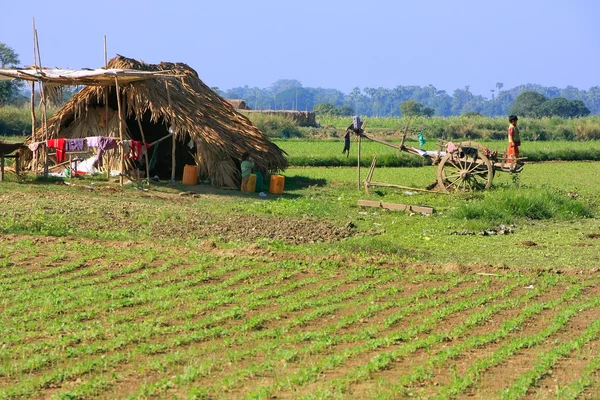 Thatched hut in a farm field, Amarapura, Myanmar — Stock Photo, Image