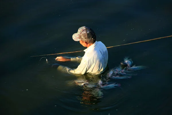 Hombre local pescando con una lanza, Amarapura, Myanmar —  Fotos de Stock