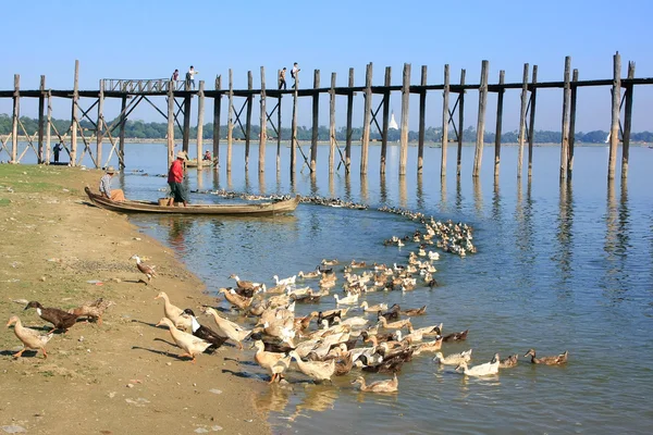 Tubylec w łodzi, w pobliżu mostu u bein, amarapura, myanmar — Zdjęcie stockowe