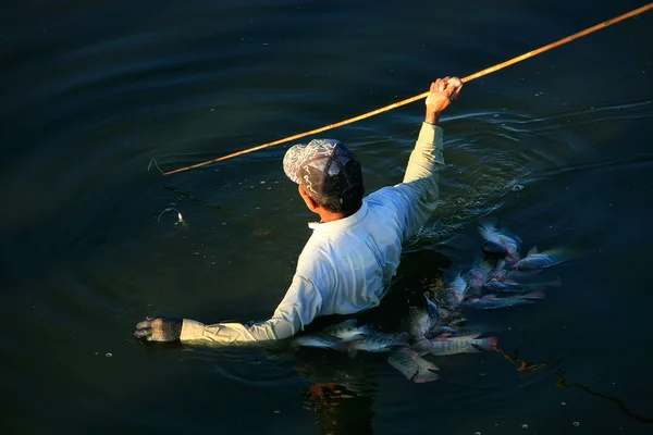 Hombre local pescando con una lanza, Amarapura, Myanmar —  Fotos de Stock