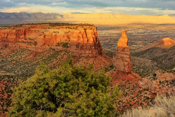 Gezicht Wedding Canyon Sentinel Spire Colorado National Monument Grand Junction — Stockfoto