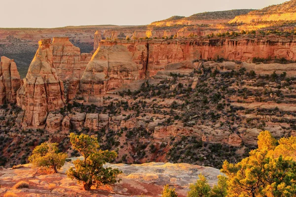 Grand View Utsikt Över Colorado National Monument Grand Junction Usa — Stockfoto