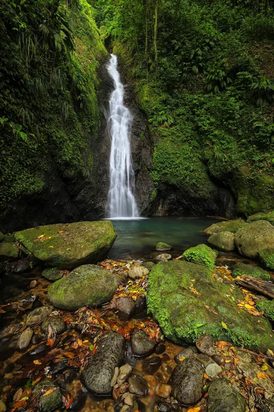 Grenada Adası Grenada Concord Şelalesi — Stok fotoğraf