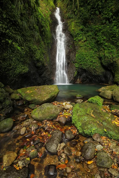 Concord Waterval Grenada Island Grenada — Stockfoto