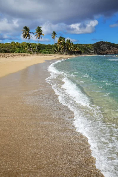 Bathway Beach Grenada Island Grenada — Stockfoto