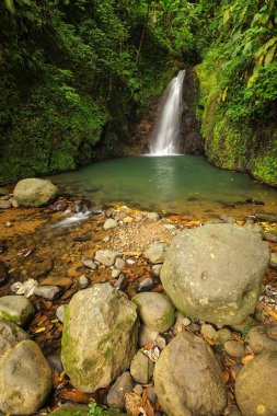 Seven Sisters Falls, Grenada Adası, Grenada.