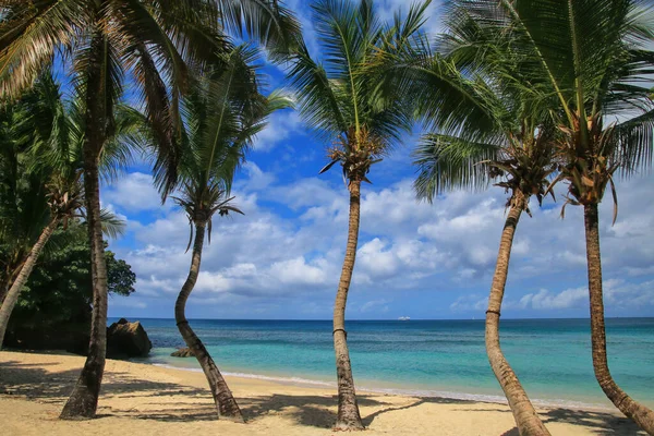 Ženich Beach Blízkosti Point Salines Grenada Island Grenada — Stock fotografie