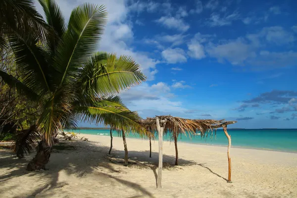 Halmhydda Vid Stranden Fayaoue Kusten Ouvea Lagun Mouli Och Ouvea — Stockfoto