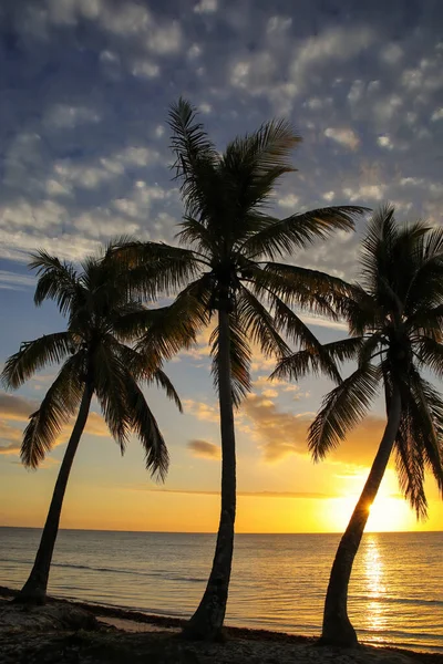 Solnedgång Över Ouvea Lagunen Ouvea Island Loyautéöarna Nya Kaledonien Lagunen — Stockfoto