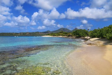 Grenada, Carriacou Adası yakınlarındaki White Island 'da kumsalda..