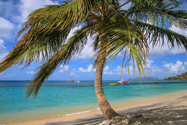 Sandstrand Vid Hillsborough Bay Carriacou Island Grenada Hillsborough Den Största — Stockfoto