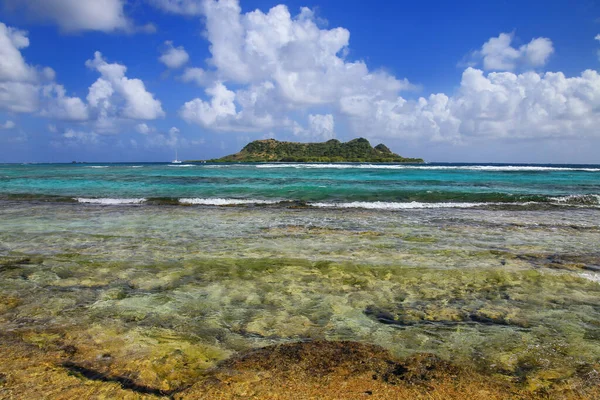Linea Costiera White Island Con Saline Island Lontananza Grenada — Foto Stock