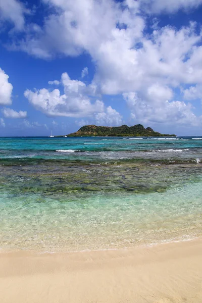 Linia Brzegowa White Island Saline Island Oddali Grenada — Zdjęcie stockowe