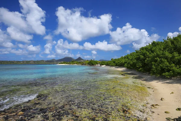 Kustlijn Van White Island Bij Carriacou Island Grenada — Stockfoto