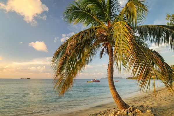 Піщаний Пляж Затоці Хіллсборо Острів Карріаку Гренада Гіллсборо Найбільше Місто — стокове фото