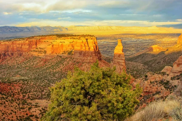 Gezicht Wedding Canyon Sentinel Spire Colorado National Monument Grand Junction — Stockfoto