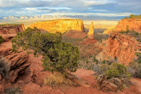 View Wedding Canyon Sentinel Spire Colorado National Monument Grand Junction — Stock Photo, Image