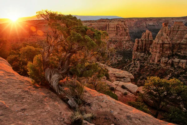 Colorado National Monument Sunrise Grand Junction Usa — Stock Photo, Image