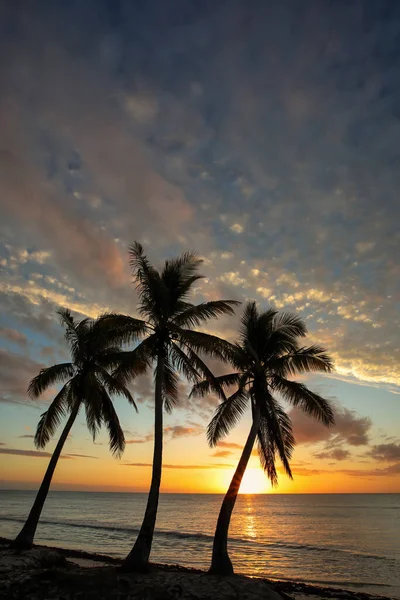 Pôr Sol Sobre Lagoa Ouvea Ilha Ouvea Ilhas Fidelidade Nova — Fotografia de Stock