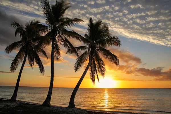 Solnedgång Över Ouvea Lagunen Ouvea Island Loyautéöarna Nya Kaledonien Lagunen — Stockfoto